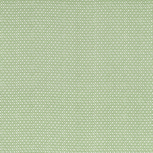 Anna French Fabric Lindsey Green AF57814