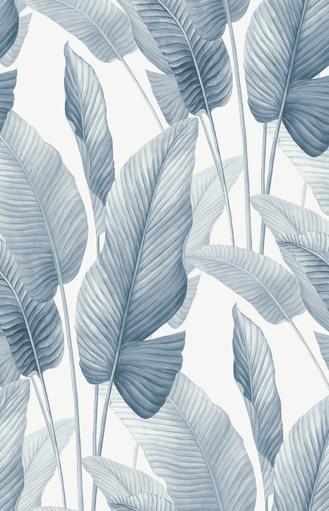 Mantra Rainy Sky AG60002 by Seabrook Designs Designer Wallpaper