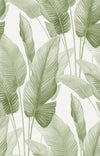Seabrook Designs Wallpaper Mantra Matcha AG60004