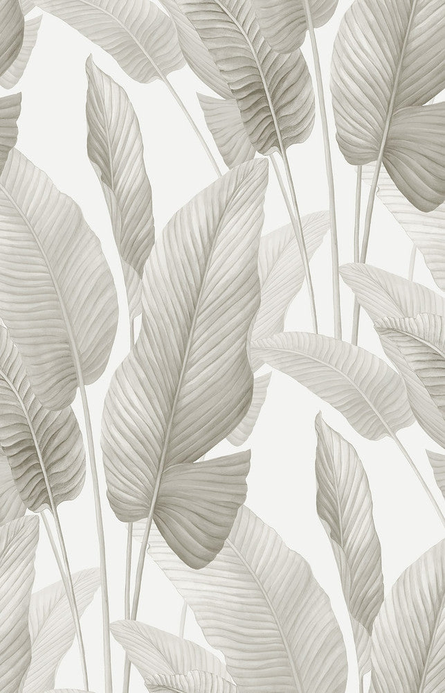 Mantra Gloss White AG60008 by Seabrook Designs Designer Wallpaper
