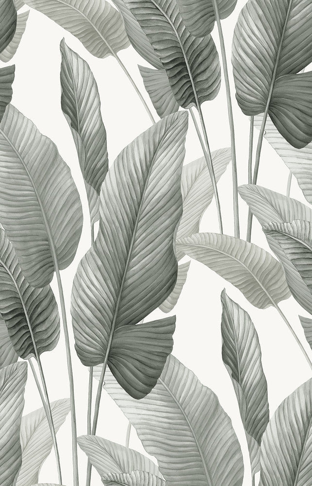 Mantra Pebble AG60010 by Seabrook Designs Designer Wallpaper