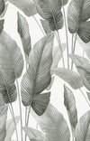 Seabrook Designs Wallpaper Mantra Pebble AG60010