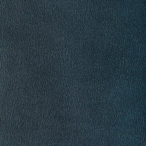 Kravet Fabric Agatha Mercury AGATHA.15.0