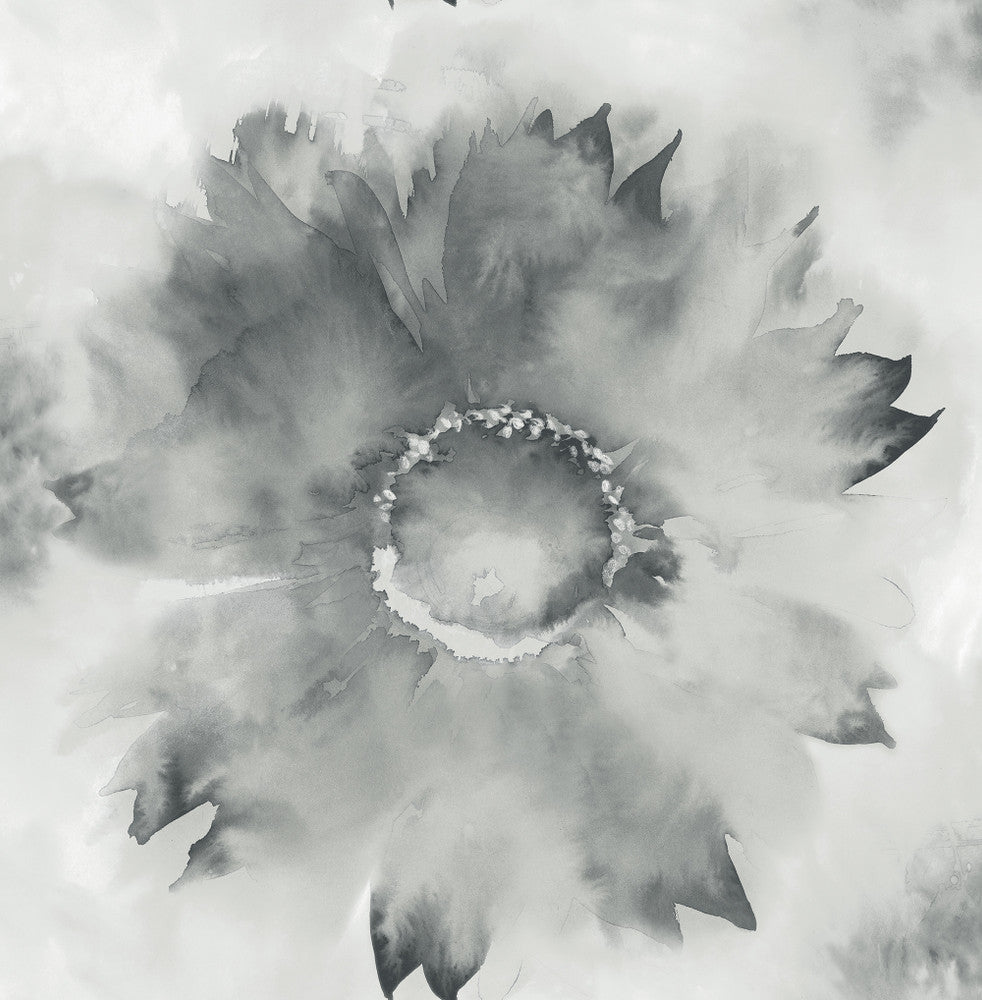 Watercolor Sunflower Metallic Silver & Charcoal AH40500 by Pelican Prints Designer Wallpaper