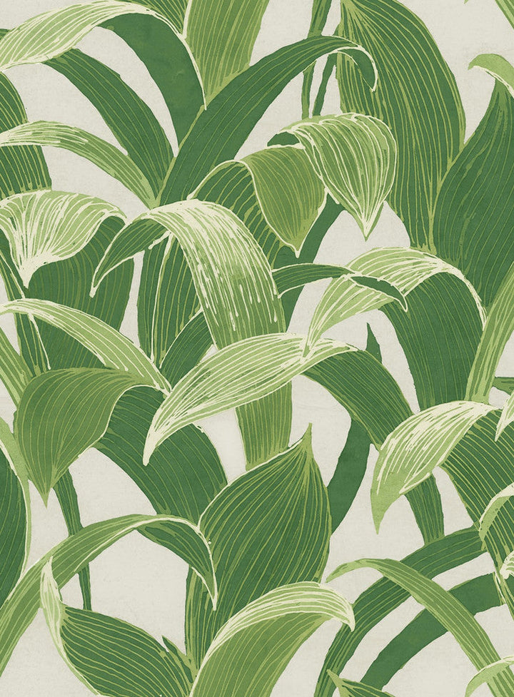 Imperial Banana Groves Metallic Pearl and Forest Green AI40304 by Seabrook Designs Designer Wallpaper