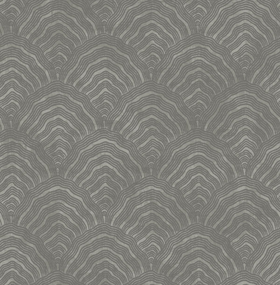 Confucius Scallop Charcoal and Metallic Silver AI41508 by Seabrook Designs Designer Wallpaper