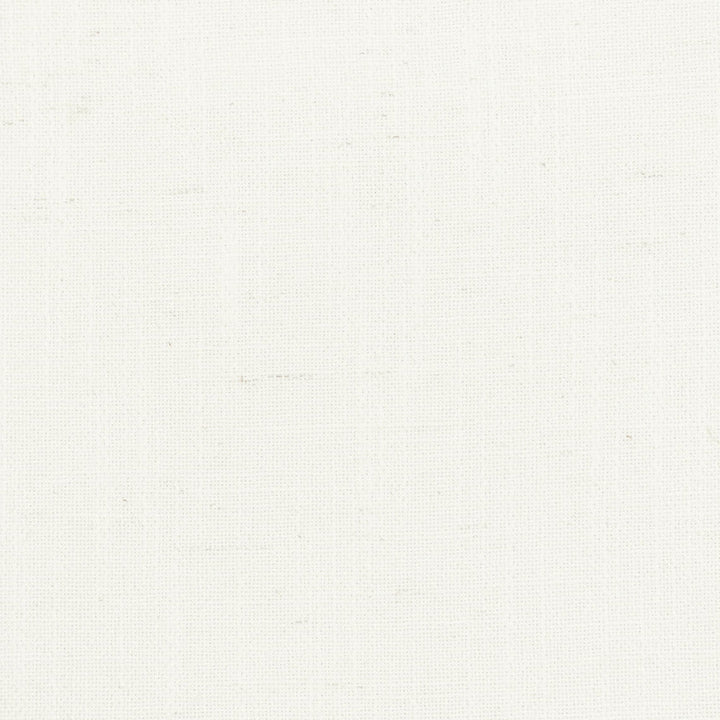 Ainsworth 5 Ivory by Stout Fabric Stout Fabric Ainsworth 5 IvoryFabric COLOR APPEAL 45%SVI 35%POL 20%LIN CHINA </p><p>Repeat: H: 0.000, V: 0.000 57 in - Fabric Carolina -