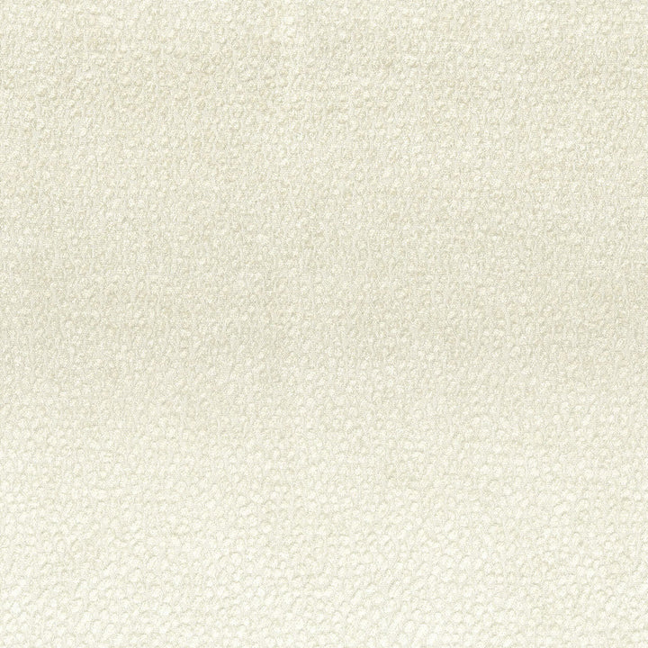 Ajax 1 Beige by Stout Designer Fabric RAINBOW LIBRARY OATMEAL/STRAW 100%POL INDIA WYZENBEEK 22 000 DOUBLE RUB WEAR TEST (HEAVY DUTY) Horizontal: 4.250 and Vertical: 6.000 54 in - Swanky Fabrics -