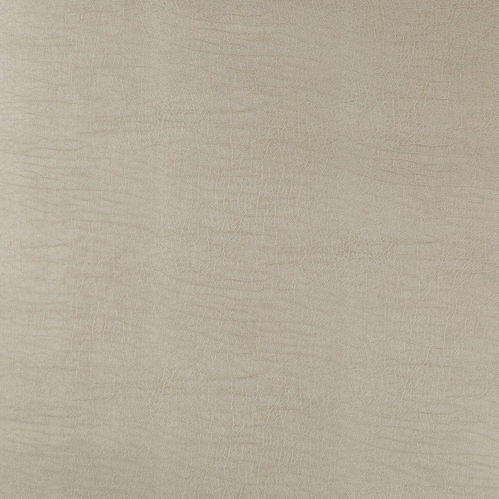 Aladar-11 by Kravet Design Designer Fabric - POLYURETHANE - 50%;SILICONE - 50% China HEAVY Horizontal: 0 and Vertical: 0 54 - Swanky Fabrics -