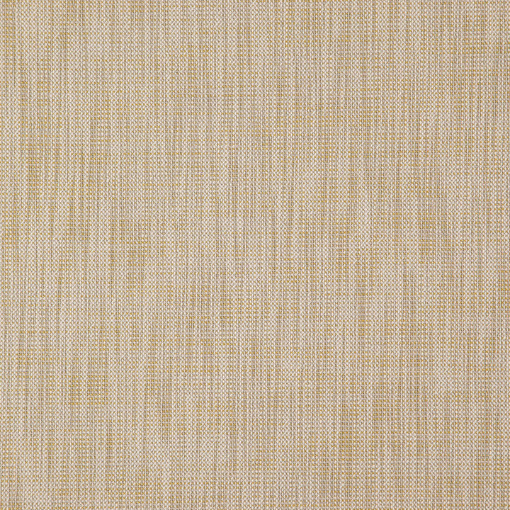 Alastor 15J7851 by JF Designer Fabric Alastor 100% Polyester India 180000 Horizontal: and Vertical: 55 - Swanky Fabrics -