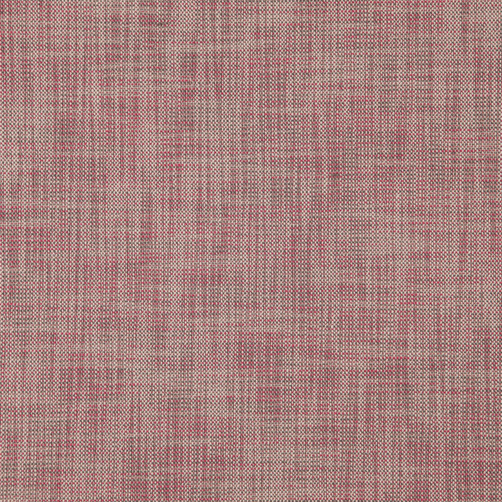 Alastor 42J7851 by JF Designer Fabric Alastor 100% Polyester India 180000 Horizontal: and Vertical: 55 - Swanky Fabrics -