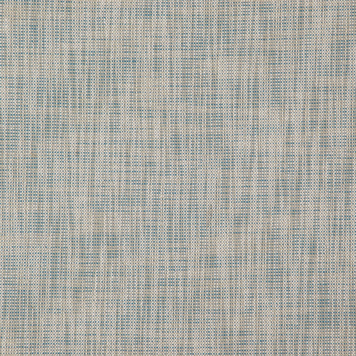 Alastor 62J7851 by JF Designer Fabric Alastor 100% Polyester India 180000 Horizontal: and Vertical: 55 - Swanky Fabrics -