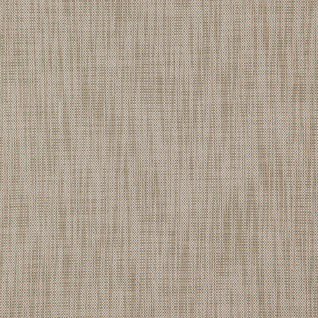 ALASTOR 71J7851 by JF Designer Fabric ALASTOR 100% Polyester INDIA ABRASIO (HEAVY DUTY- 30,000+ DOUBLE RUBS) Horizontal: N/A and Vertical: N/A 55.00 - Swanky Fabrics -