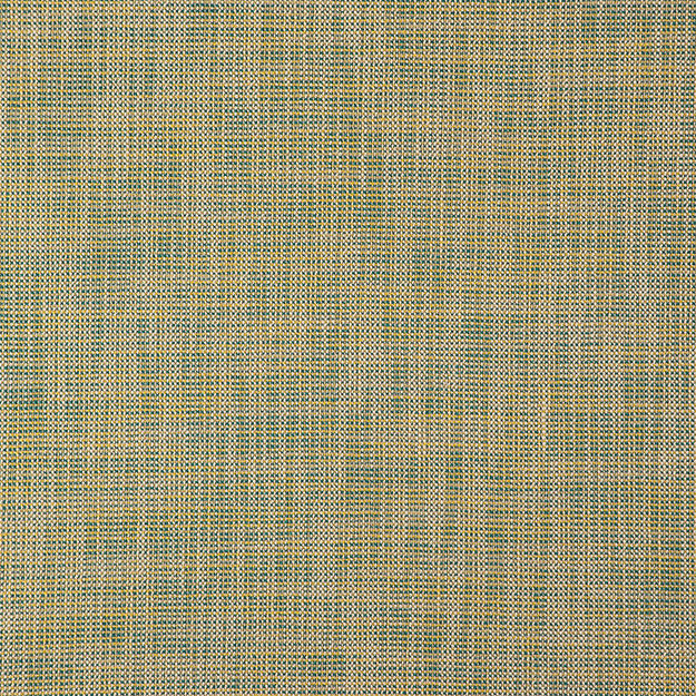 ALASTOR 73J7851 by JF Designer Fabric ALASTOR 100% Polyester INDIA ABRASIO (HEAVY DUTY- 30,000+ DOUBLE RUBS) Horizontal: N/A and Vertical: N/A 55.00 - Swanky Fabrics -