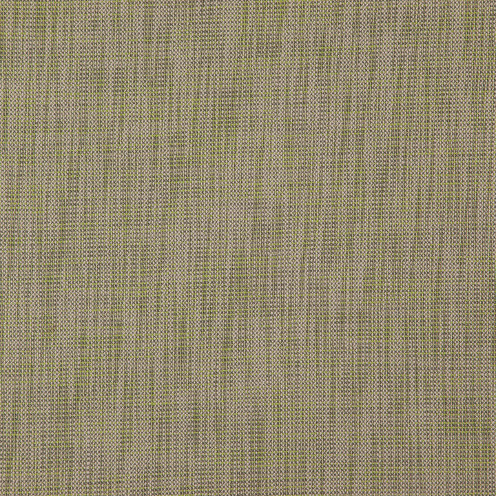Alastor 74J7851 by JF Designer Fabric Alastor 100% Polyester India 180000 Horizontal: and Vertical: 55 - Swanky Fabrics -