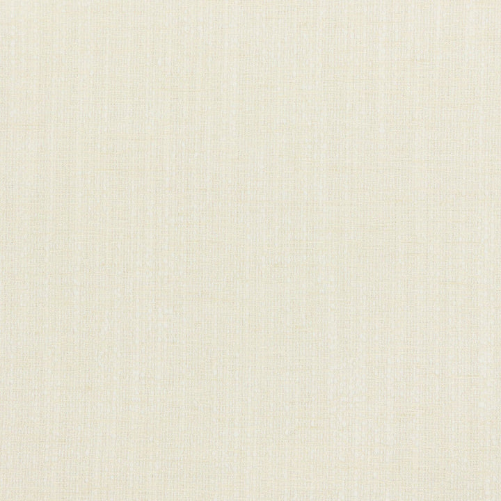 Alberto 2 Ivory by Stout Designer Fabric TEXTURE APPEAL 58%COT 42%POL INDIA Horizontal: 0.000 and Vertical: 0.000 54 in - Swanky Fabrics -