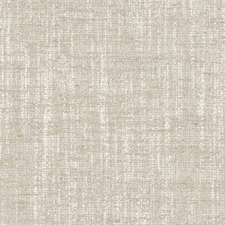 Alberto 3 Birch by Stout Fabric Stout Fabric Alberto 3 BirchFabric TEXTURE APPEAL 58%COT 42%POL INDIA </p><p>Repeat: H: 0.000, V: 0.000 54 in - Fabric Carolina -