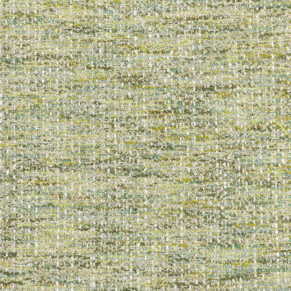 Albin 4 Jungle by Aoc Designer Fabric COMFORTABLE LIVING SPRING/MOSS 69%POL 31%SVI INDIA Horizontal: 0.000 and Vertical: 0.000 54 in - Swanky Fabrics -