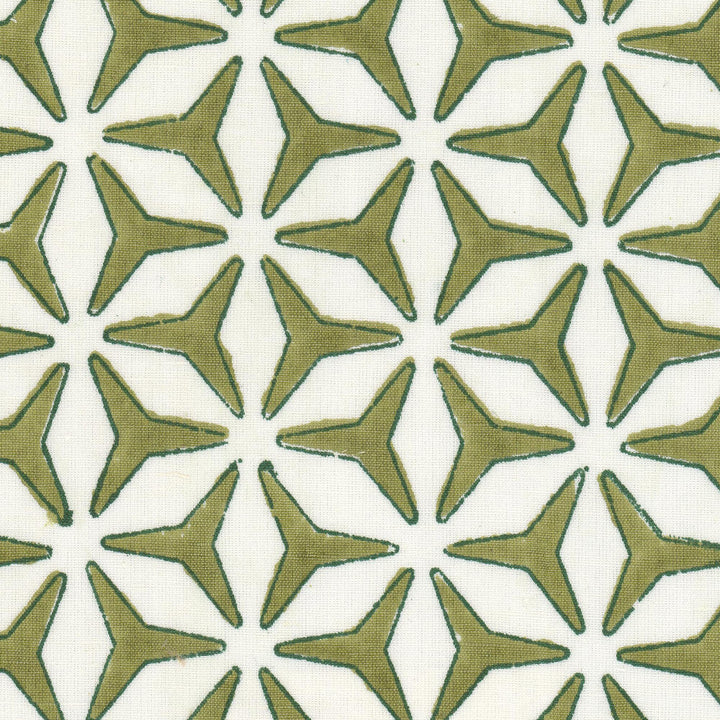 Alden 3 Avocado by Aoc Fabric Aoc Fabric Alden 3 AvocadoFabric THE ART OF COLOR WELL KEPT SECRET 54%LIN 46%COT INDIA </p><p>Repeat: H: 1.875, V: 3.250 54 in - Fabric Carolina -