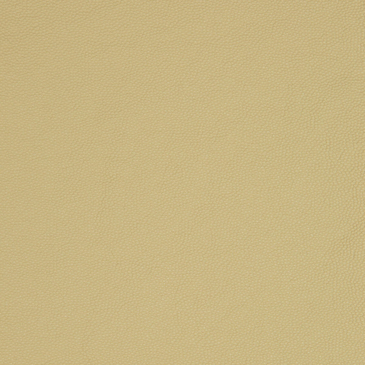 Kravet Smart Aldwin-16 by Kravet Smart Fabric Kravet Smart Fabric Kravet Smart Aldwin-16Fabric PVC - ARTIFICIAL LEATHER - 65%;POLYESTER - 35% United States </p><p>Repeat: H: , V: 54 - Fabric Carolina -