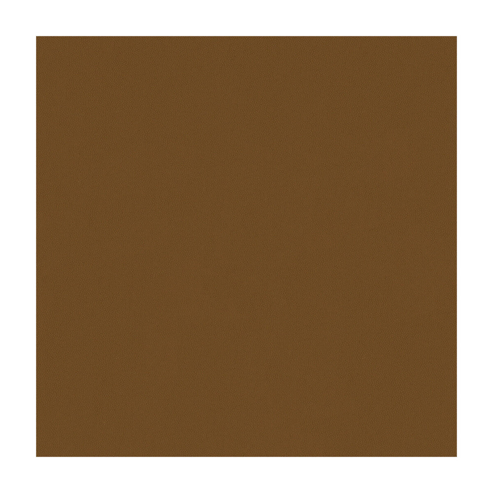 Aldwin-6 by Kravet Smart Designer Fabric PVC - ARTIFICIAL LEATHER - 65%;POLYESTER - 35% United States HEAVY Horizontal: and Vertical: 54 - Swanky Fabrics -