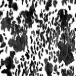 Norbar Fabric Alfred Pinto 01