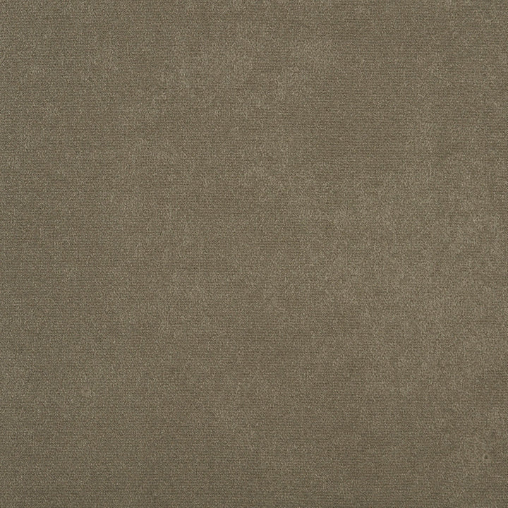Algonquin 96J7031 by JF Crypton Designer Fabric Crypton Binder 100% Polyester Taiwan 50000 Horizontal: and Vertical: 54 - Swanky Fabrics -