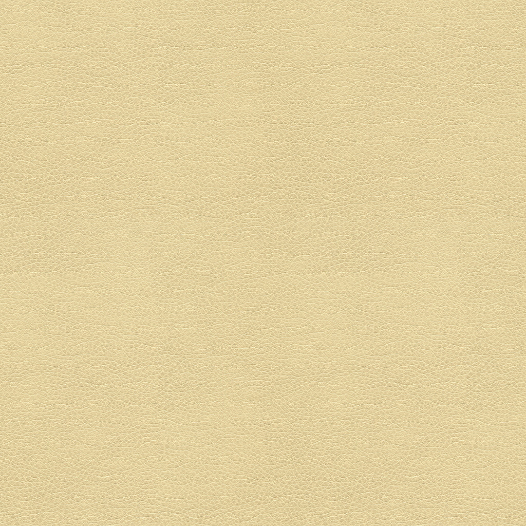 Kravet Contract Fabric Baltra - Marble