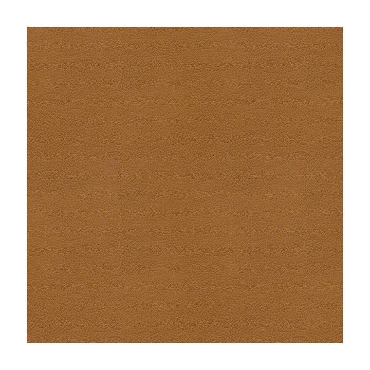 Alina-16 by Kravet Smart Designer Fabric POLYURETHANE - 100% China HEAVY Horizontal: and Vertical: 55 - Swanky Fabrics -