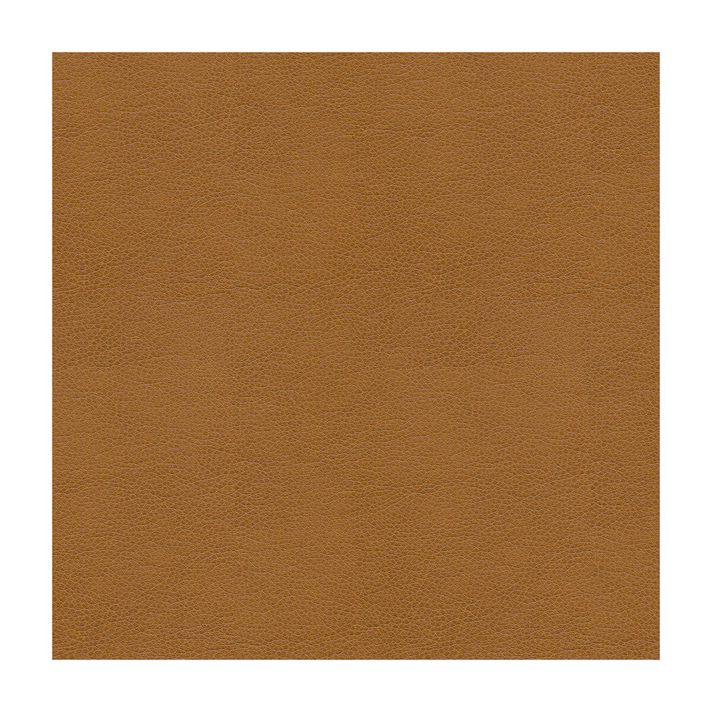 Alina-16 by Kravet Smart Designer Fabric - POLYURETHANE - 100% China HEAVY Horizontal: - and Vertical: - 55 - Swanky Fabrics -
