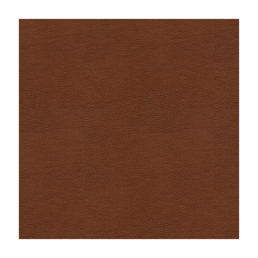 Alina-6 by Kravet Smart Designer Fabric - POLYURETHANE - 100% China HEAVY Horizontal: - and Vertical: - 55 - Swanky Fabrics -