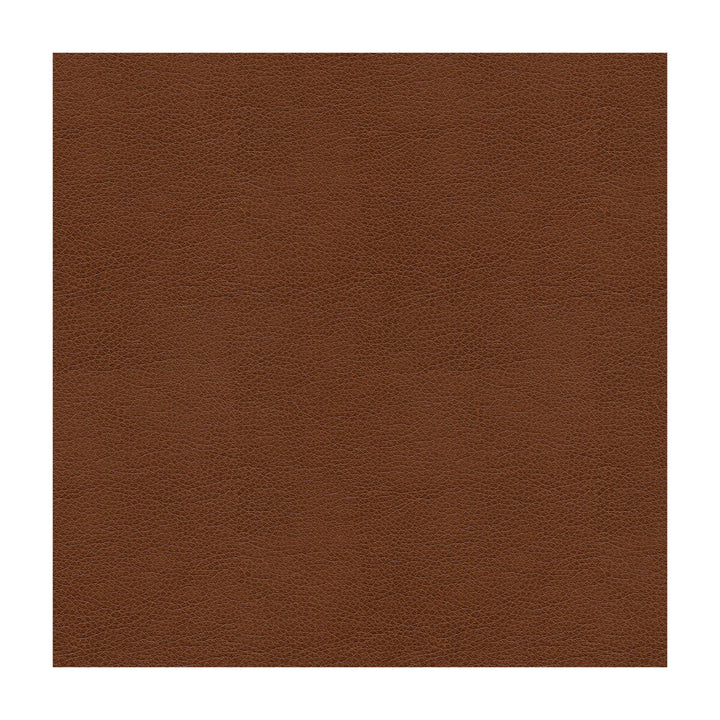 Kravet Smart Alina-6 by Kravet Smart Fabric Kravet Smart Fabric Kravet Smart Alina-6Fabric POLYURETHANE - 100% China </p><p>Repeat: H: , V: 55 - Fabric Carolina -