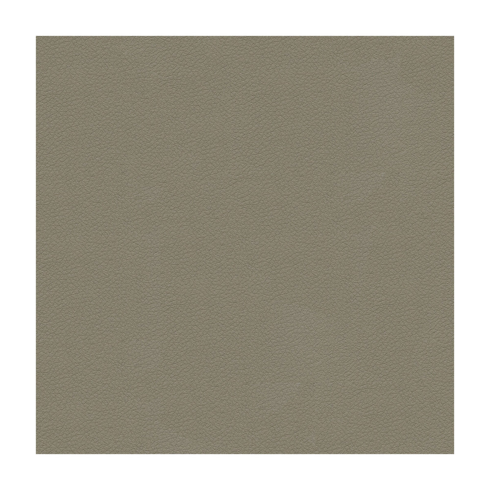 Kravet Design Ali-11 by Kravet Design Fabric Kravet Design Fabric Kravet Design Ali-11Fabric ULTRALEATHER PLUS IV POLYURETHANE - 100% Japan </p><p>Repeat: H: , V: 54 - Fabric Carolina -