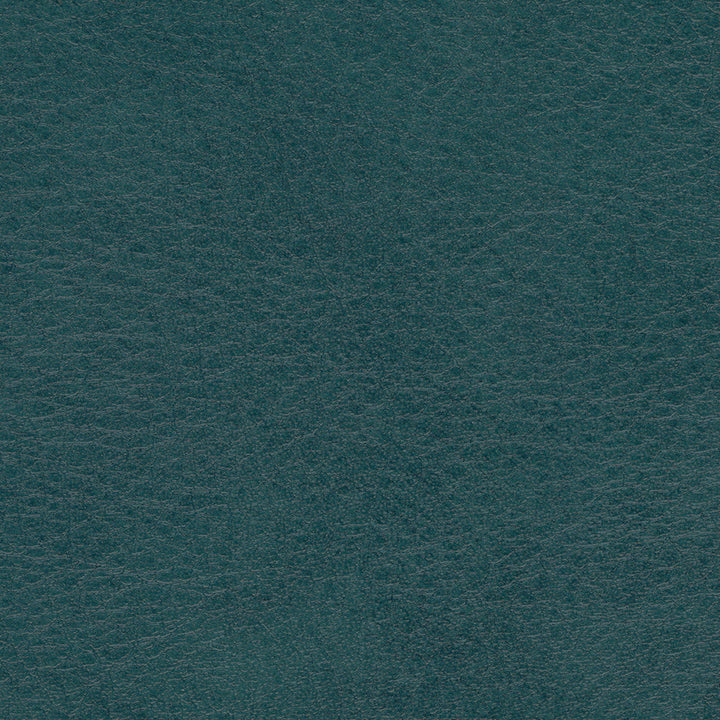 Allegro ALG 7062 Shadow Green by Softside Designer Fabric N/A 100% Polyvinyl Chloride (PVC) Costa Rica 50,000 Double Rubs </p><p>Repeat: Horizontal: and Vertical: 54" (137 cm) - Swanky Fabrics -