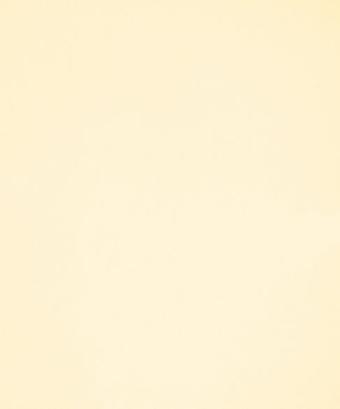 Allegro Champagne M11526 by Barrow Industries Designer Fabric