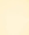 Allegro Champagne M11526 by Barrow Industries Designer Fabric
