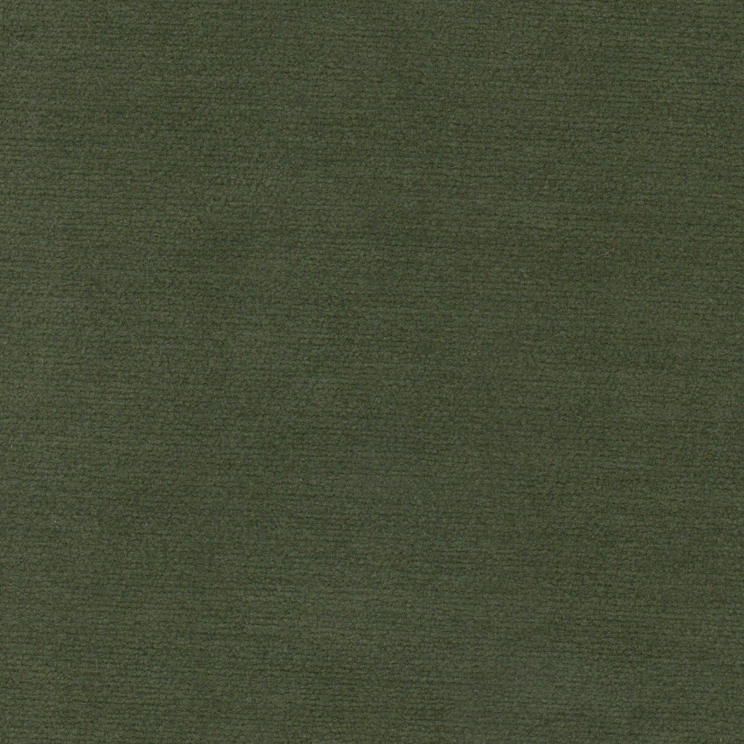 Alloy 1 Avocado by Stout Designer Fabric