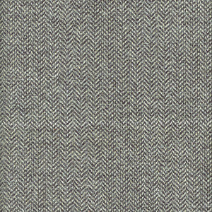 Kravet Fabric Nevada Rapid