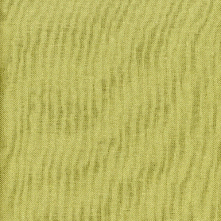 Beagle Lizard by Kravet Couture Designer Fabric ANDREW MARTIN BEAGLE LINEN - 100% China MEDIUM Horizontal: 0 and Vertical: 0 57 - Swanky Fabrics -