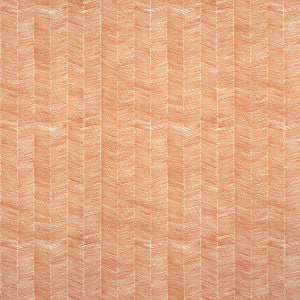 Kravet Fabric Delta Outdoor Lava