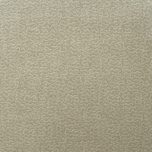 Kravet Fabric Pollen Stone