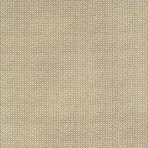 Kravet Fabric Audley Outdoor Ochre