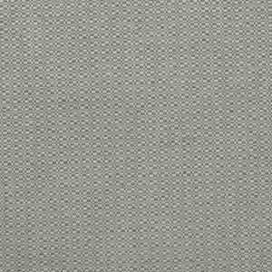 Kravet Fabric Birch Fog AM100390.11.0