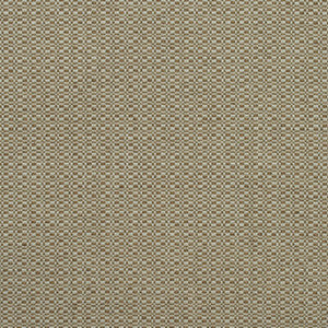 Kravet Fabric Birch Autumn AM100390.624.0