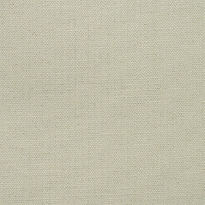 Kravet Fabric Birds Foot Chalk AM100391.1.0