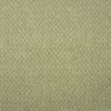 Kravet Fabric Nest Lichen AM100397.3.0
