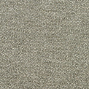 Kravet Fabric Speckled Egg Twig AM100399.16.0
