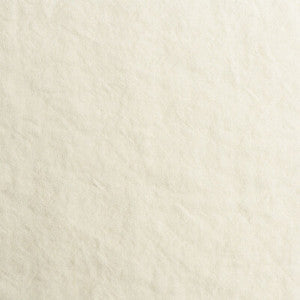 Kravet Fabric Spa White AM100428.1.0