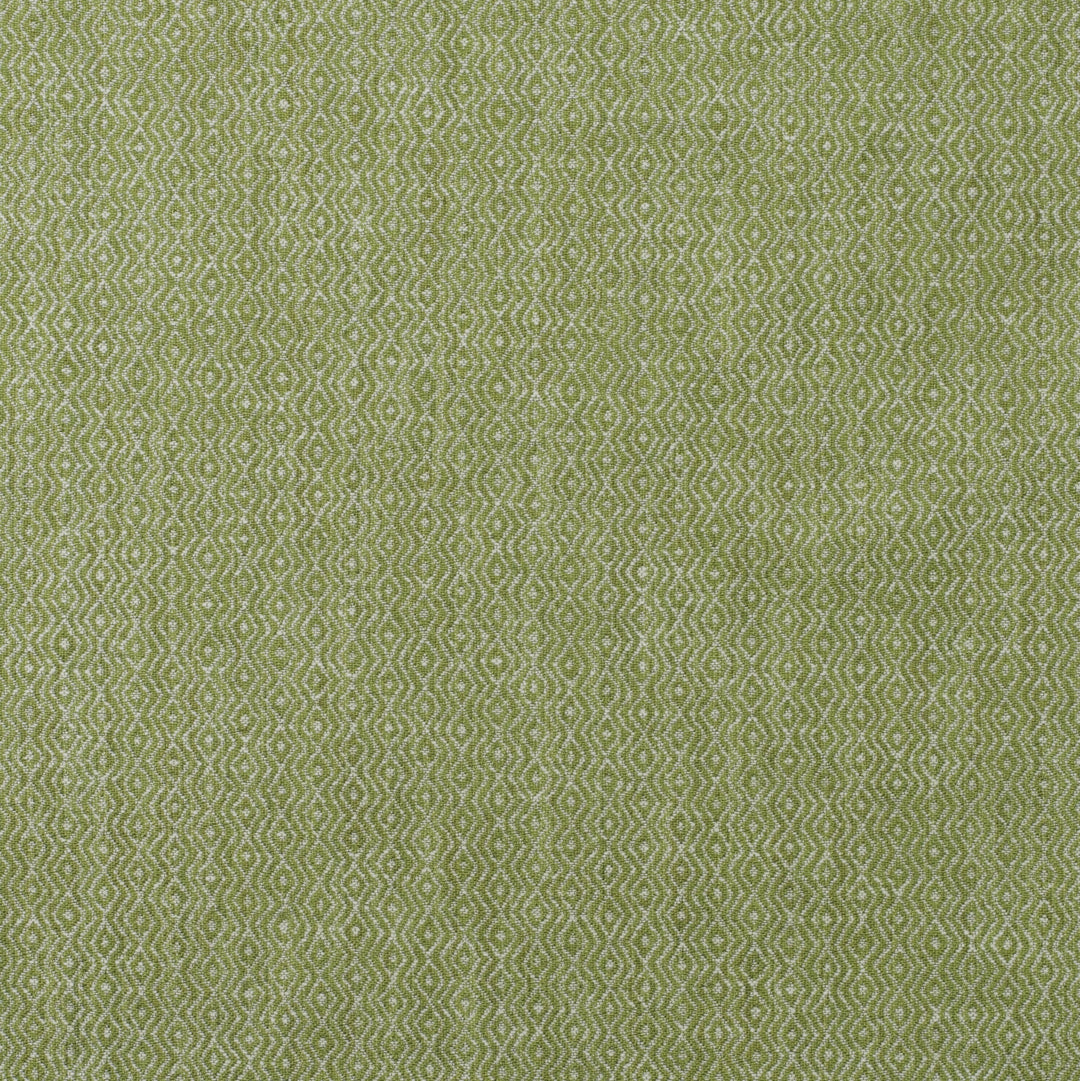 Kravet Couture Fabric Riverbank - Reed