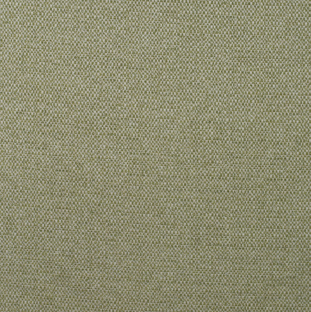 Kravet Couture Fabric Jetty - Reed